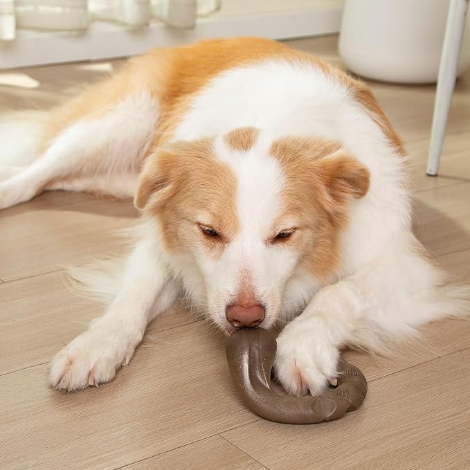 Tough Dog Toys for Aggressive Chewers, Bacon Scented & Curved Nylon Bone to - Image 6