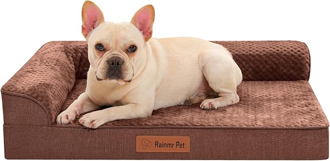 Orthopedic Dog Bed for Small and Medium Dogs, Memory Foam Pet Bed by RainmrBedding