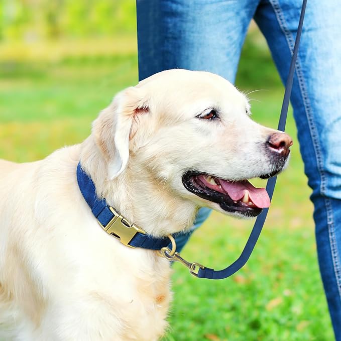 Genuine Leather Dog Collar - Image 3