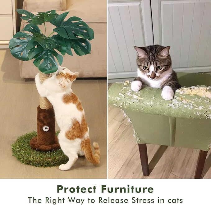 Cat Scratching Post for Indoor Cats and Kitten - Image 6