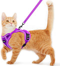 Cat Harness and Leash for Walking Escape Proof Soft Adjustable Cat Leash by Unknown