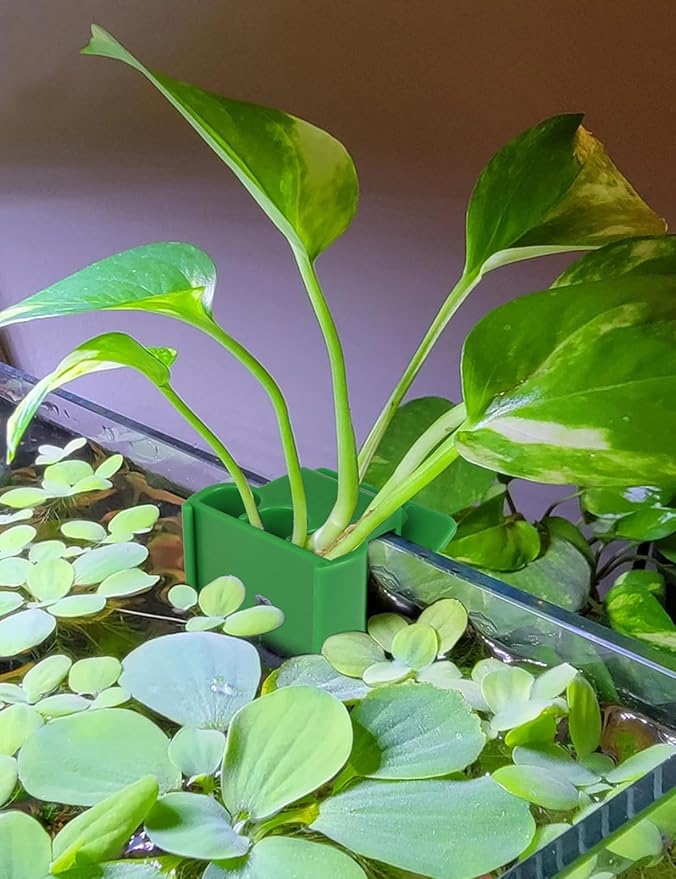 4 Pk Upgraded Aquarium Plant Holder, 3-Hole Hanging Plant Holder - Image 2