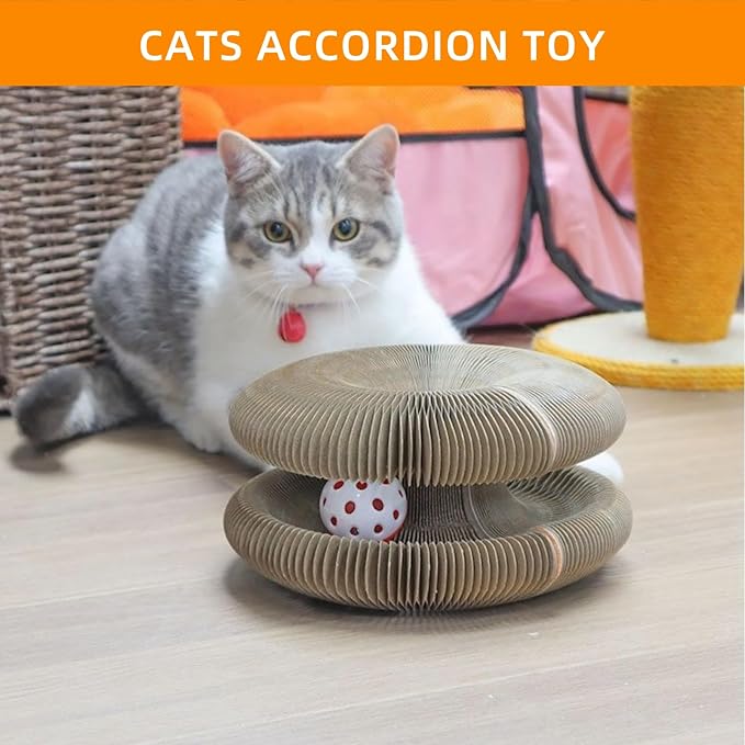 Magic Organ Cat Scratching Board - Image 7