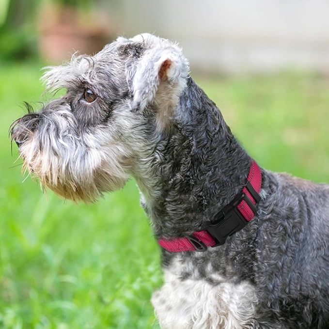 Joytale Reflective Dog Collar, Soft Neoprene Padded Breathable Nylon Pet Collar - Image 2