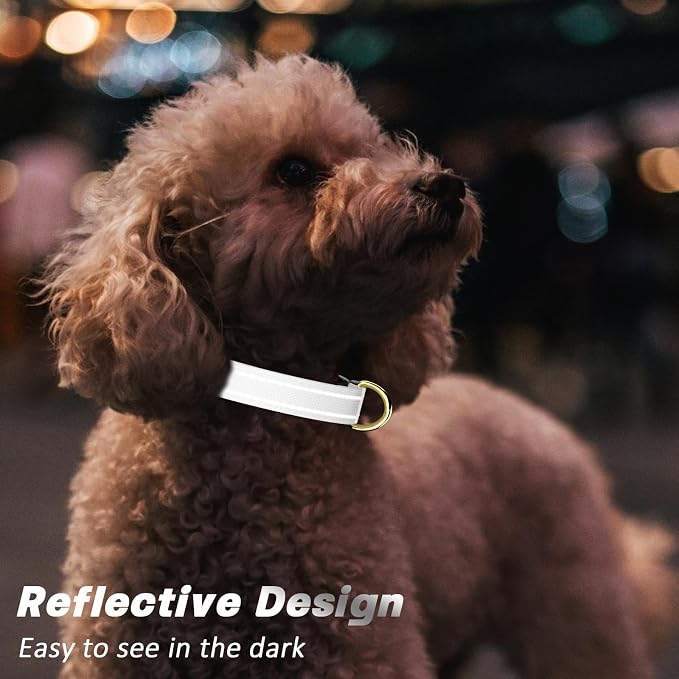 Reflective Dog Collar for Medium Dogs, Cute Adjustable Heavy-Duty Nylon Puppy - Image 3