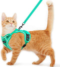 Cat Harness and Leash for Walking Escape Proof Soft Adjustable Cat Leash by Unknown