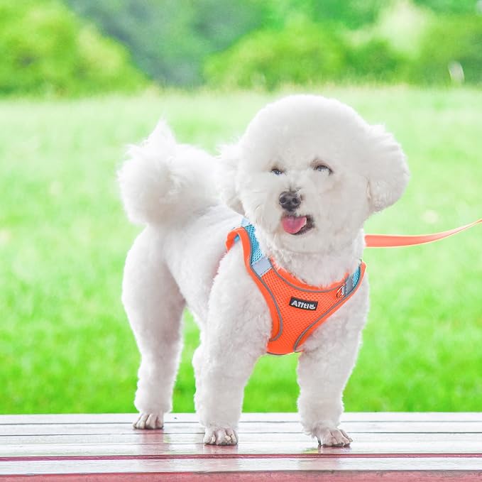 AIITLE Easy Walk Dog Harness and Leash Set - Image 5
