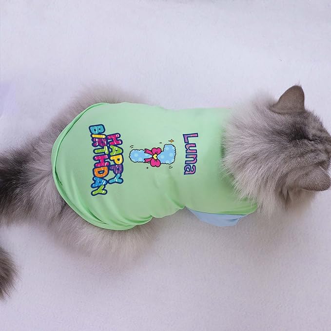Custom Dog Birthday Shirt, Personalized Pet Apparel Print - Image 6