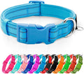 azuza Reflective Dog Collar, Soft Neoprene Padded Pet Collar by azuza