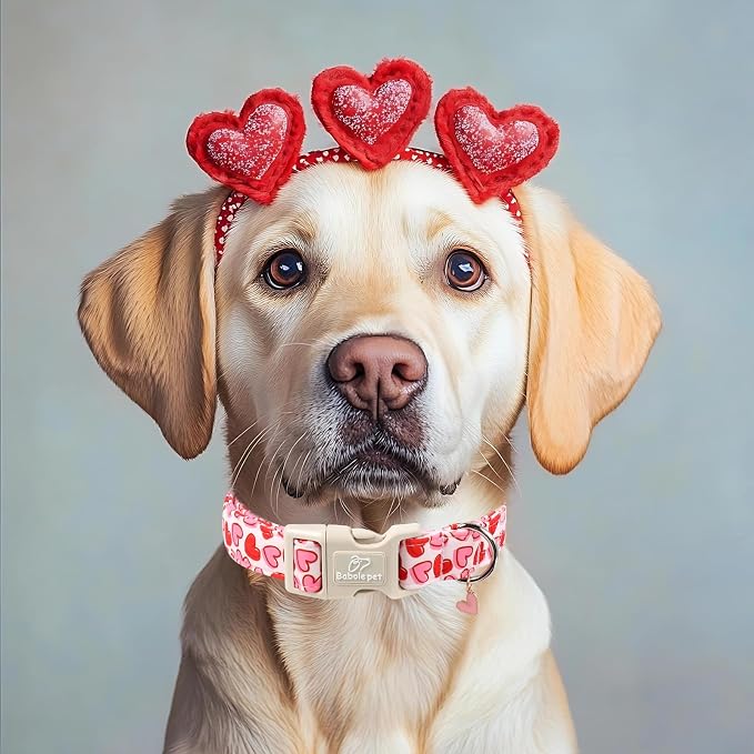 Valentines Dog Collar for Medium Dogs - Image 5