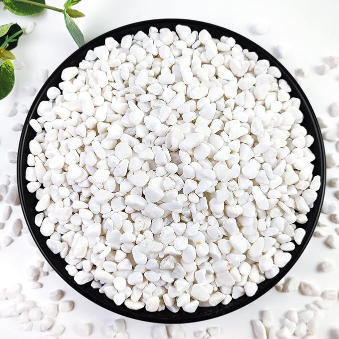 10LB Succulent and Cactus Gravel, 1/5 Inch White Natural Decorative Polished by YISZM-ForYourNaturalLife