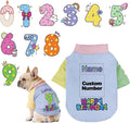 Custom Dog Birthday Shirt, Personalized Pet Apparel Print by Unknown