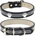 PETCARE Reflective Dog Collar by PETCARE