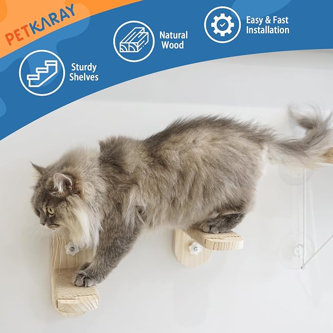 PETKARAY Cat Window Perch, Foldable Cat Hammock - Image 5