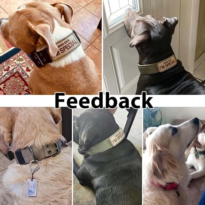 Tactical Dog Collar Military Adjustable Dog Collars Soft Nylon Training Collar - Image 7