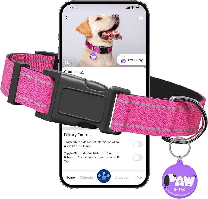 Reflective Dog Collar for Extra Small Dogs by Pawduct