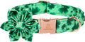 Lionheart Glory St. Patrick's Day Dog Collar, Dog Collar by LionheartGlory