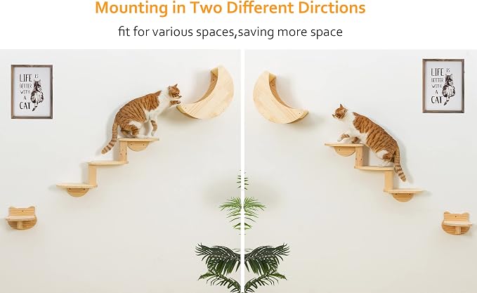Cat Shelf for Wall Mount Hammock - Image 6