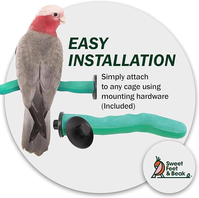 Sweet Feet and Beak Brid Cage Safety Pumice Perch - Image 6