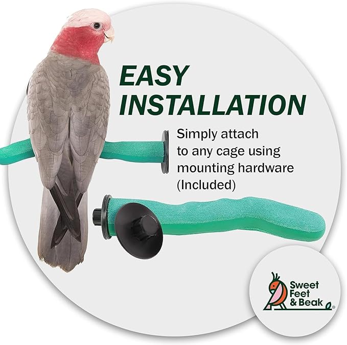 Sweet Feet and Beak Safety Pumice Perch - Image 6