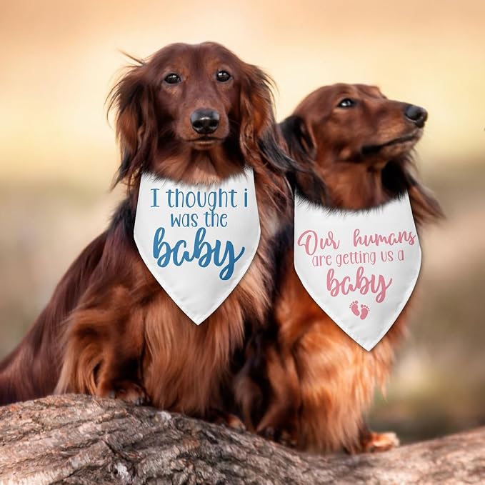 2 Packs Baby Announcement Dog Bandana Our Humans are Getting Us a Baby Gender - Image 5