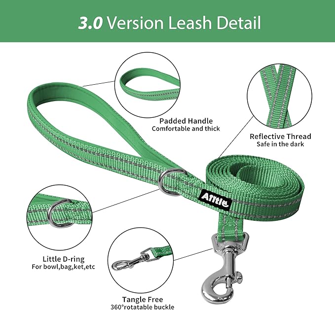 AIITLE Step in Dog Harness and Leash Set - Image 8