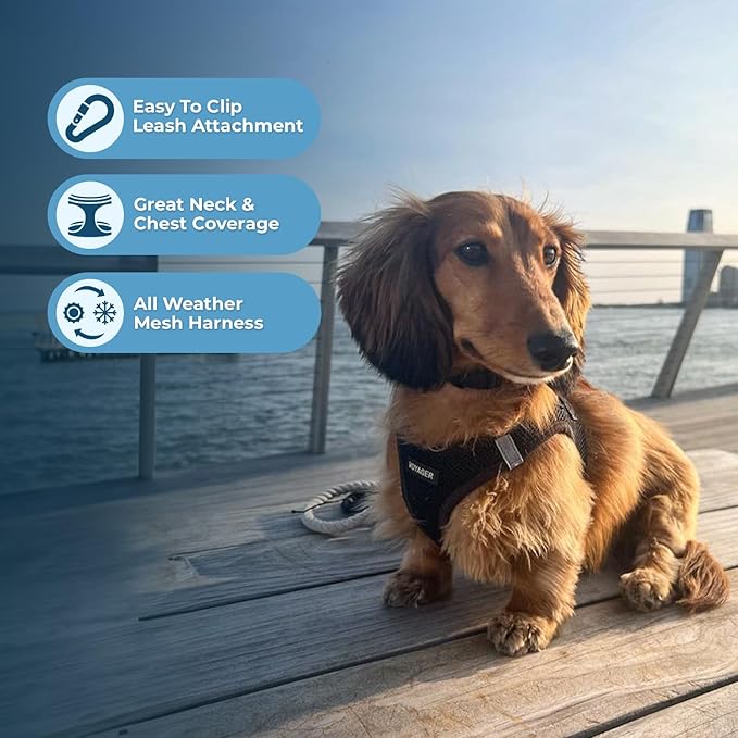 Best Pet Supplies Voyager Step-in Air All Weather Mesh Harness and Reflective - Image 5