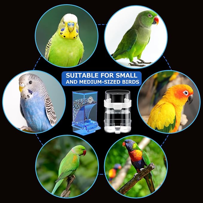 Yaomiao 8 Pcs No Mess Small Bird Feeders - Image 5