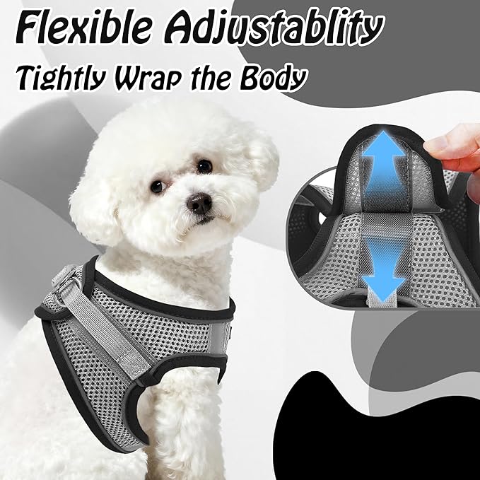 AIITLE Comfortable Dog Harness and Leash Set - Image 8