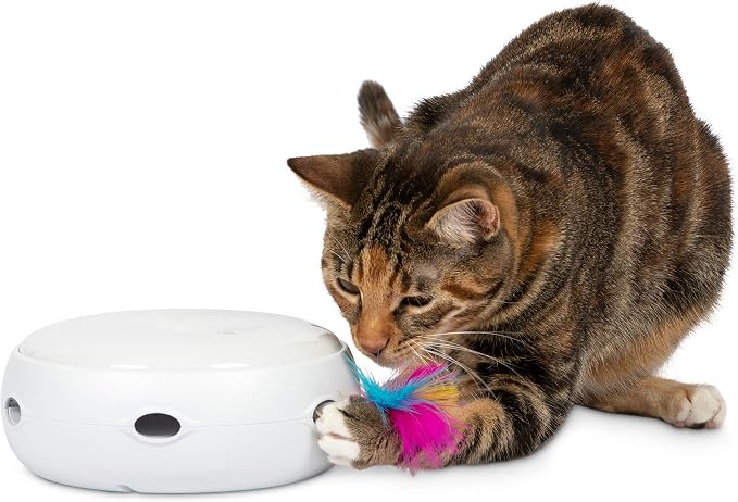 PetFusion Ambush Interactive Cat Toys by PetFusion