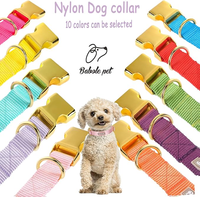 Nylon Dog Collar - Image 8