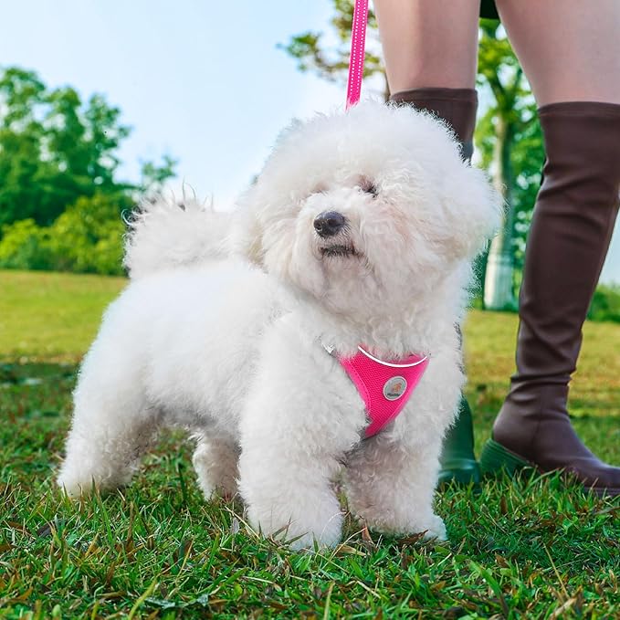 Hipubby Dog Harness and Leash Set, No Pull Soft Mesh Puppy Harness - Image 2