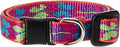 LupinePet Originals 1/2" Wing It Cat Safety Collar by LupinePet