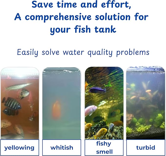 Betta Ring Enrichment Toys - Image 6