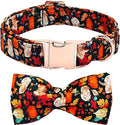 Fall Dog Collar, Leaf Pumpkin Print Adjustable Pet Collar Cute Cotton Soft by BoboRainbow