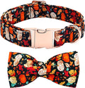 Fall Dog Collar, Leaf Pumpkin Print Adjustable Pet Collar Cute Cotton Soft by BoboRainbow