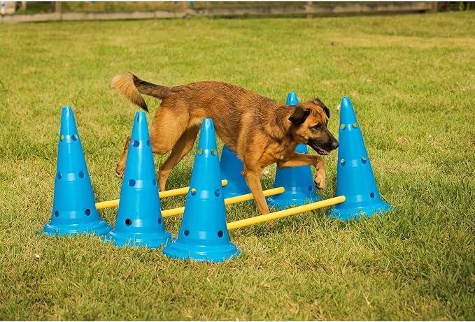 Midlee Dog Cone & Pole Agility Set- Adjustable Big to Small Dogs- Set of 3 - Image 6