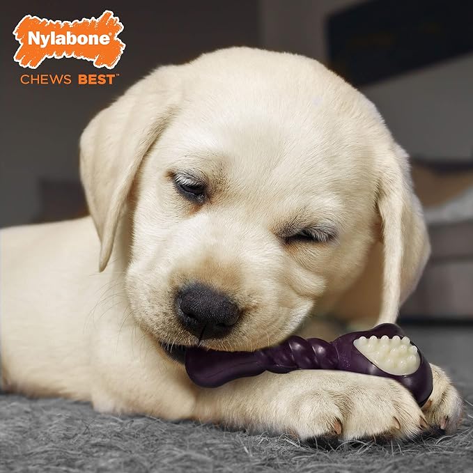 Nylabone Double Action Bone Puppy Chew Toy, Rubber Teething Toys - Image 2