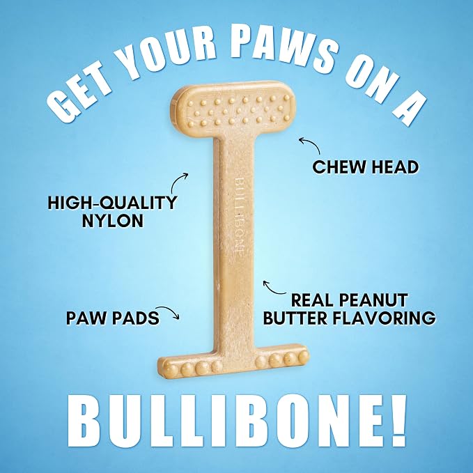 Bullibone Nylon Dog Chew Toy for Aggressive Chewers - Image 3