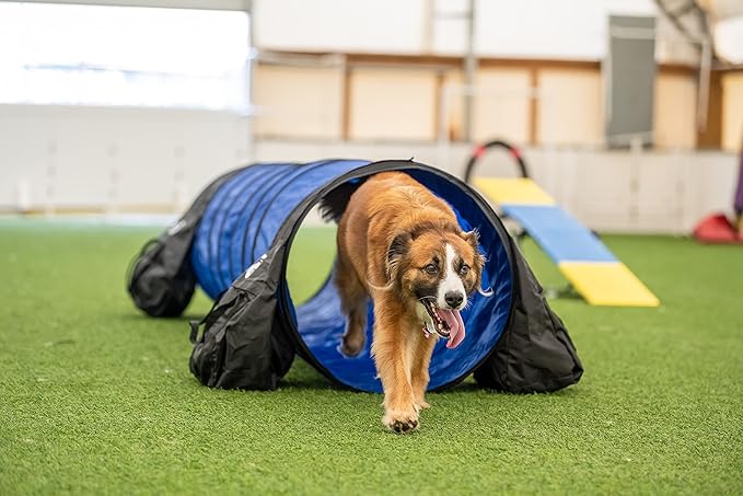 Better Sporting Dogs 10 Foot Dog Agility Tunnel - Image 4