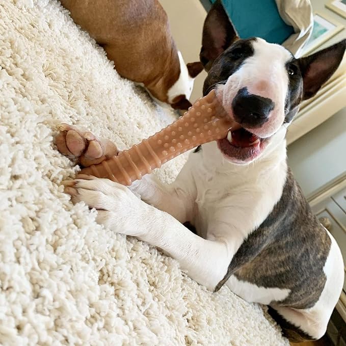 Nylabone Textured Knuckle Bone Power Chew Toy - Image 3