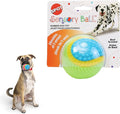 SPOT Sensory Ball Dog Toy for Soft Chewers – 3.25-Inch Durable TPR Rubber Ball by SPOT