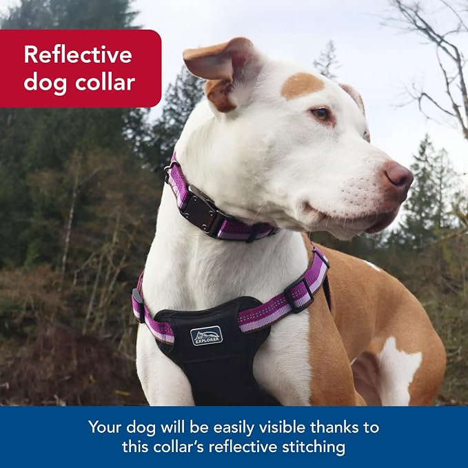Coastal Pet K9 Explorer Reflective Adjustable Dog Collar - Image 4