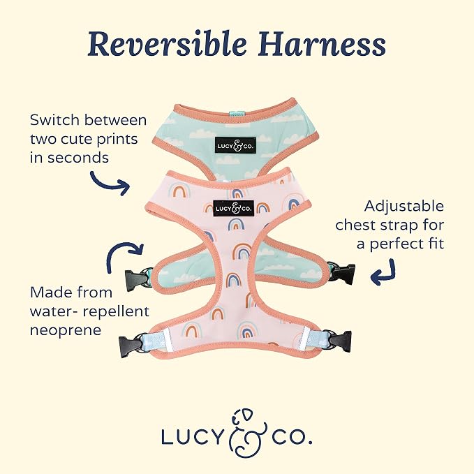 Lucy & Co. in The Clouds, Cute Reversible Dog Harness Walking Halter - Image 2