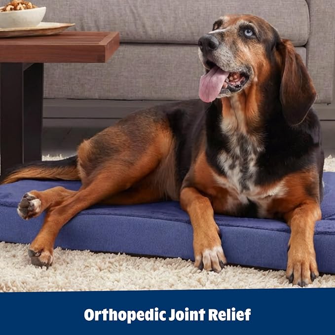 Barkbox Orthopedic Dog Bed | Comfortable Memory Foam Mattress - Image 6