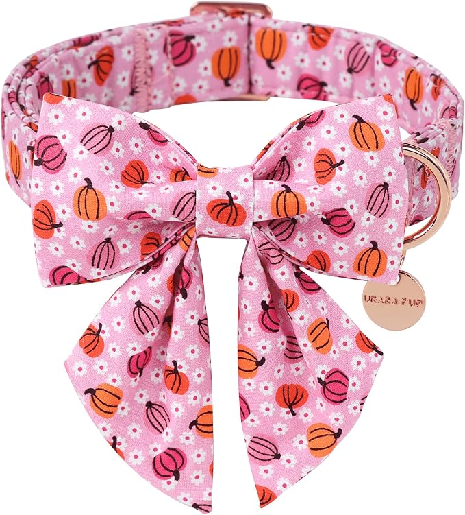 Halloween Pumpkin Dog Collar by UPURARAPUP