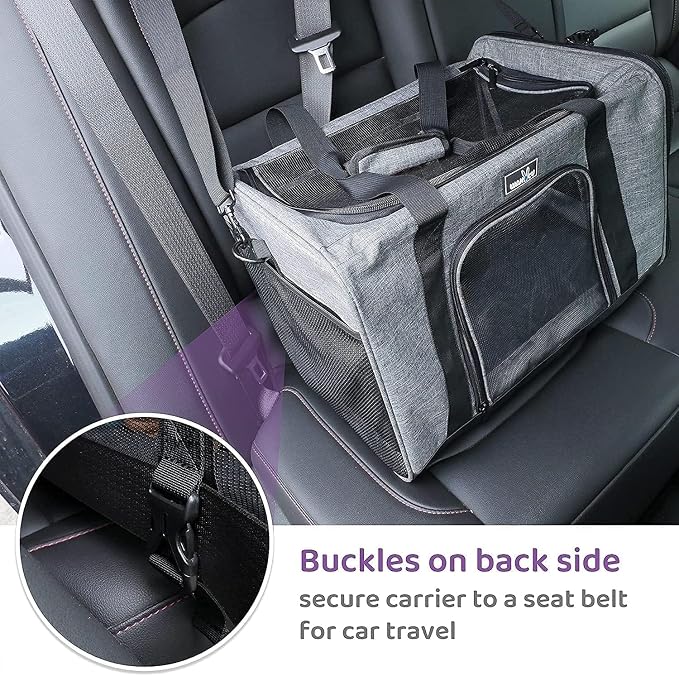Pet Carrier for Small Cats Dogs, Dog Carrier Travel Bag - Image 6