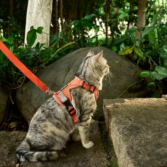 Cat Harness and Leash Escape Proof Small Kitten Harness Abyssinian Cat Vest - Image 8