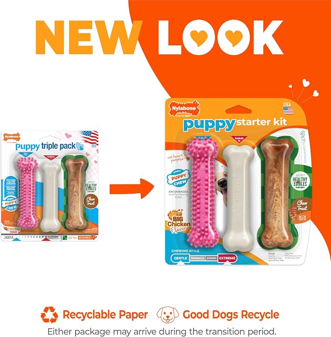 Nylabone Puppy Chew Toys & Natural Treat Triple Pack, Puppy Enrichment Teething - Image 4