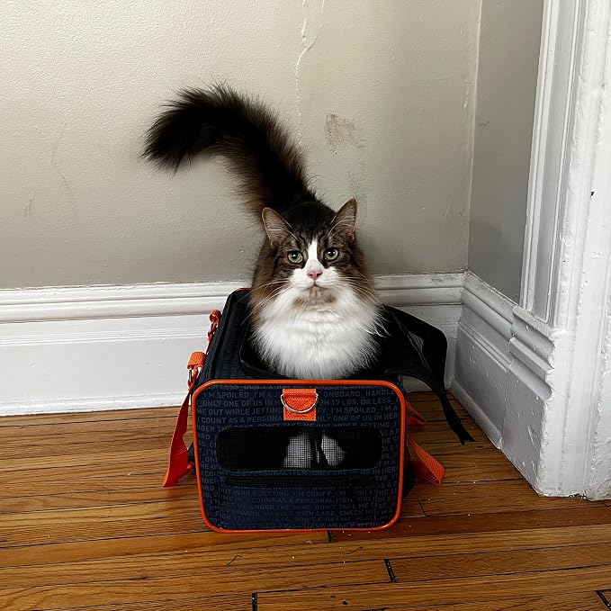 Official Pet Carrier of JetBlue Airlines Blue 16 inches - Image 2